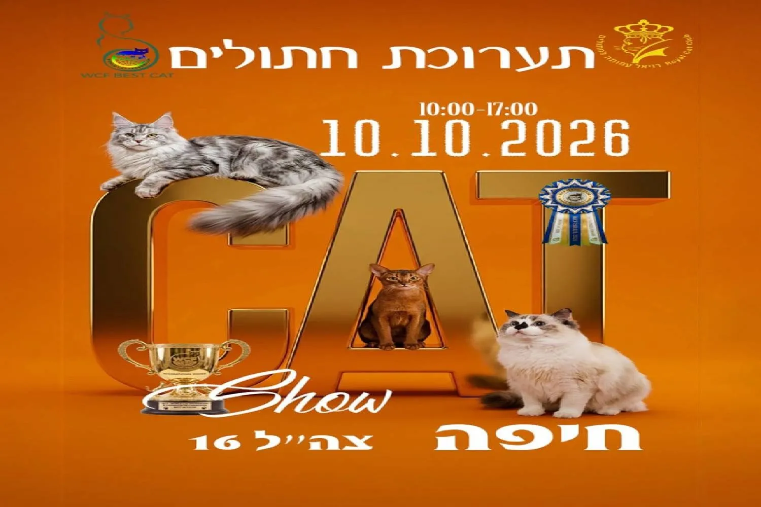 תערוכת חתולים בינלאומית בחיפה
